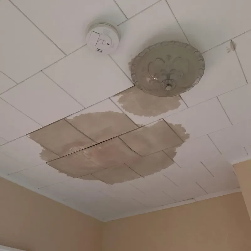 Ceiling Water Damage Repair in East Harwich, MA