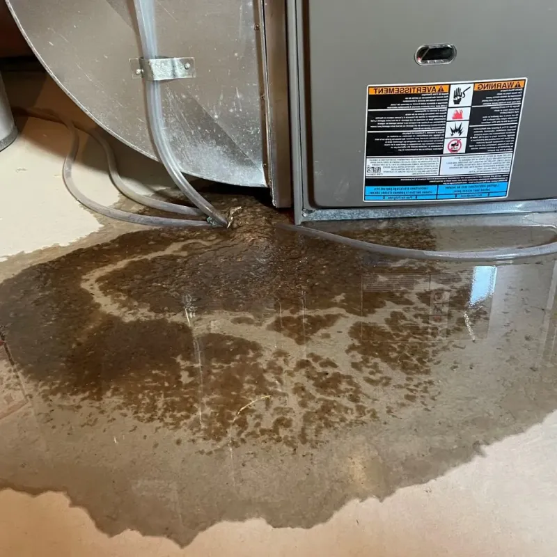 Pipe Burst and Leak Restoration in East Harwich, MA